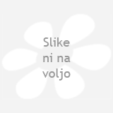 Lesena skleda z robom iz lubja